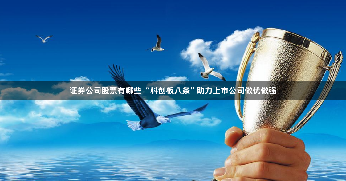 证券公司股票有哪些 “科创板八条”助力上市公司做优做强