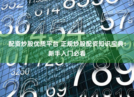 配资炒股优质平台 正规炒股配资知识宝典：新手入门必看