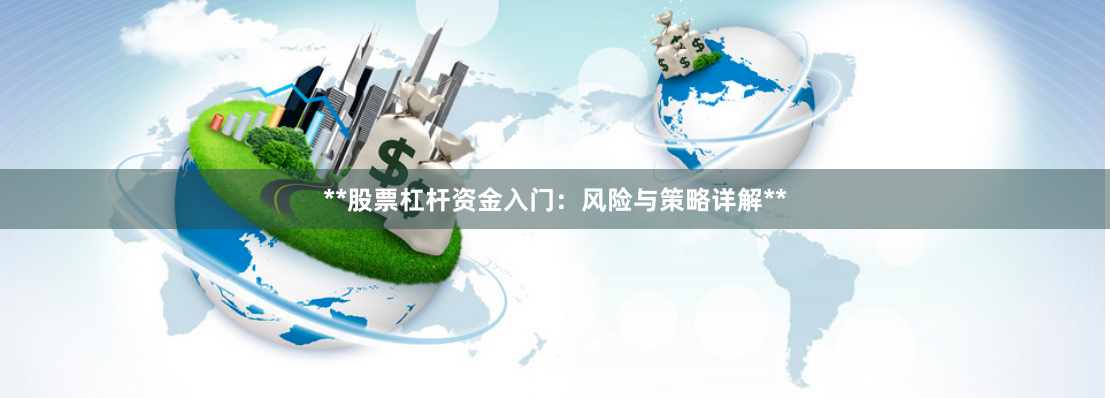 **股票杠杆资金入门:风险与策略详解**